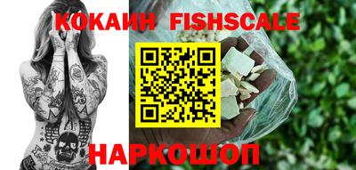 амф Гусев
