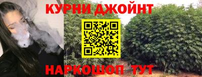 амф Гусев