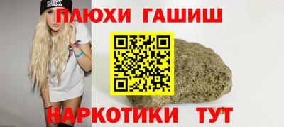 амф Гусев