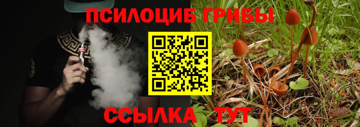 Псилоцибиновые грибы Magic Shrooms  Псилоцибиновые грибы прущие грибы  Вход с VPN  Котлас 